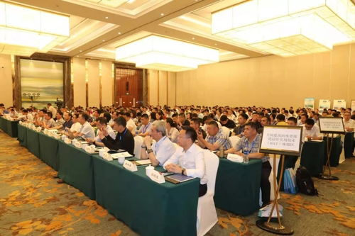 彩色透水混凝土與透水瀝青 海綿城市建設(shè)中的關(guān)鍵技術(shù)